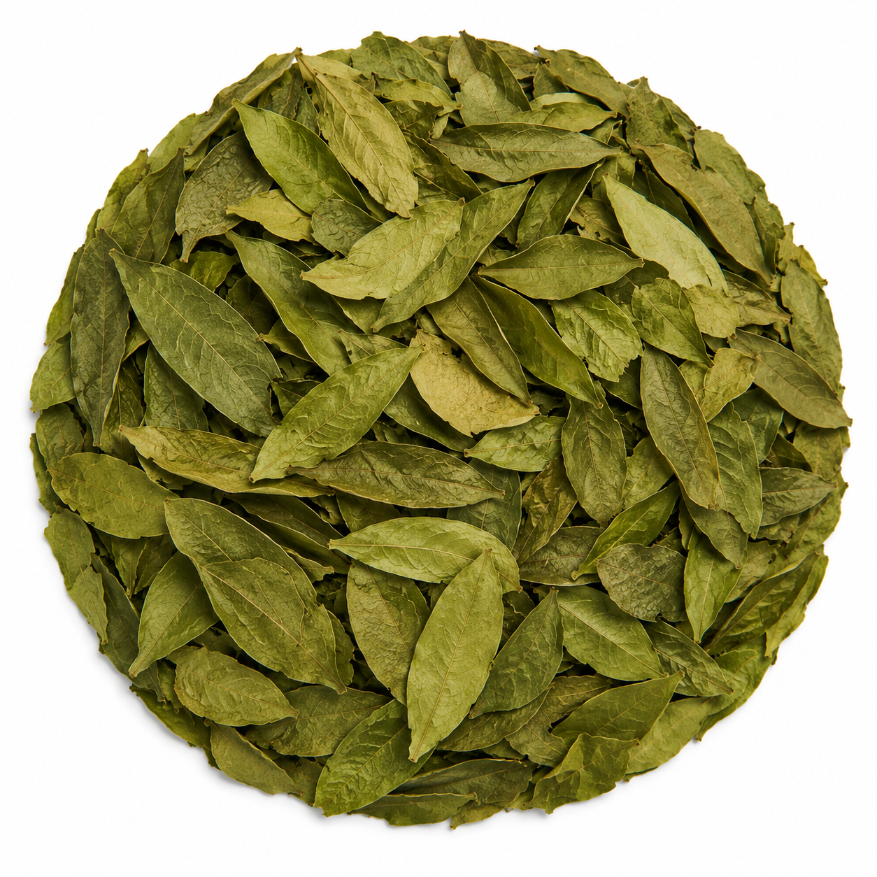 Sour sop Leaf Tea